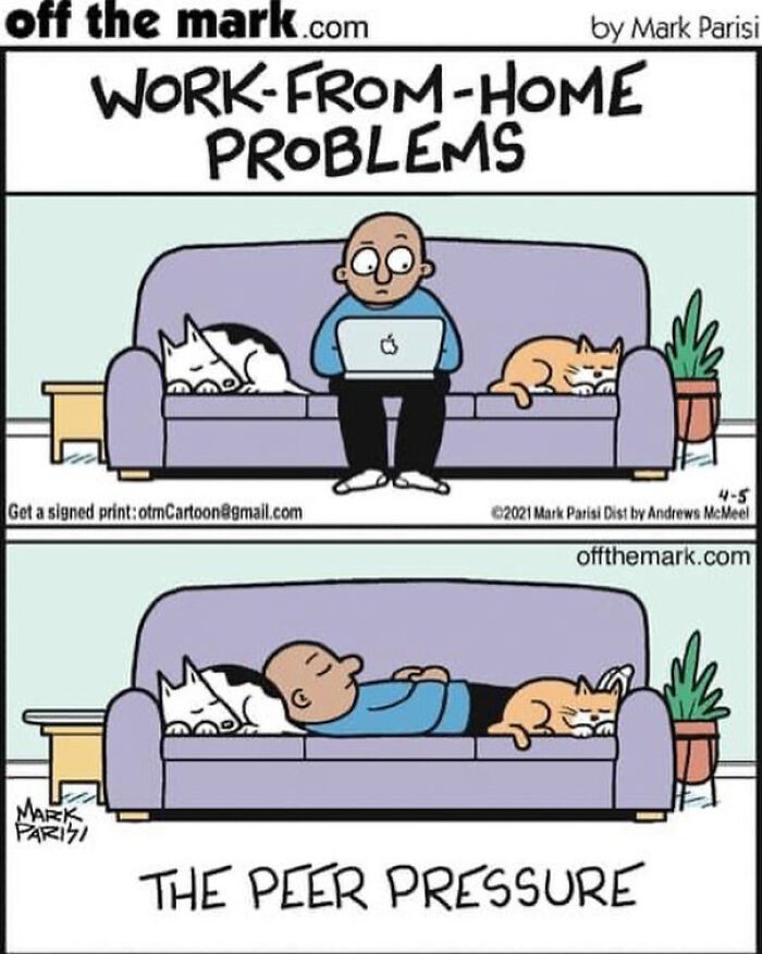 These 30 New Funny Comics By A Legendary Cartoonist Might Make You Smile These 30 New Funny Comics By A Legendary Cartoonist Might Make You Smile