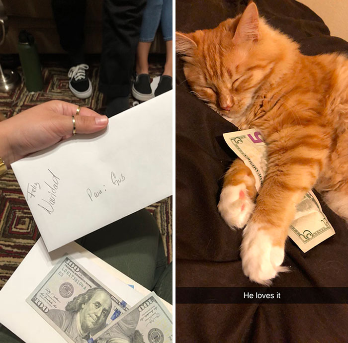 40 Times People Greeted Christmas With A Sense Of Humor (New Pics) 40 Times People Greeted Christmas With A Sense Of Humor (New Pics)