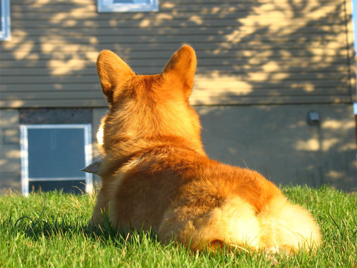 30 Completely Normal Yet Weird Things, As Pointed Out By Folks In This Online Group 30 Completely Normal Yet Weird Things, As Pointed Out By Folks In This Online Group