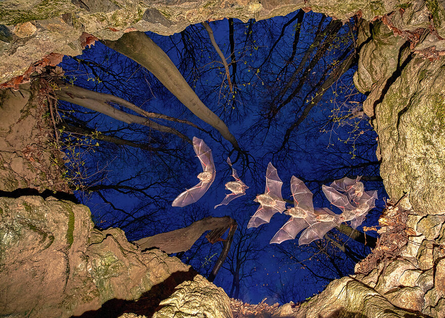 30 Winning Photos Of The 2021 Nature Photographer Of The Year Awards 30 Winning Photos Of The 2021 Nature Photographer Of The Year Awards