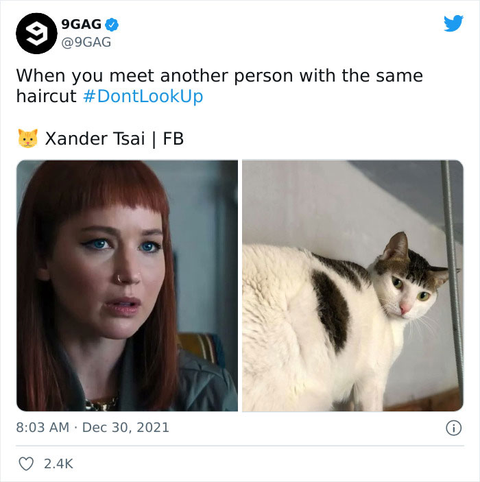 People Are Amused By These 30 Spot-On Reactions To Netflix’ New Film “Don’t Look Up” People Are Amused By These 30 Spot-On Reactions To Netflix’ New Film “Don’t Look Up”