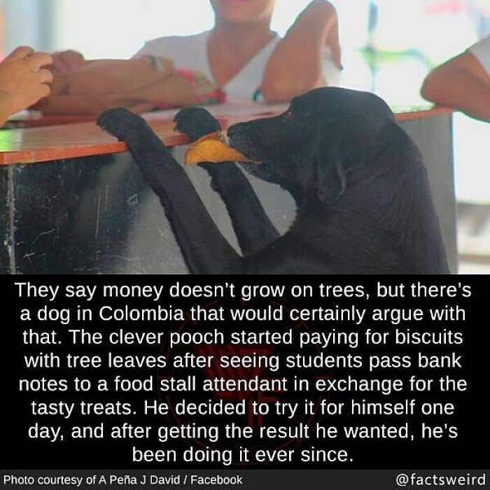 120 ‘Weird Facts’ About The World That Might Give You A Fresh Perspective 120 ‘Weird Facts’ About The World That Might Give You A Fresh Perspective