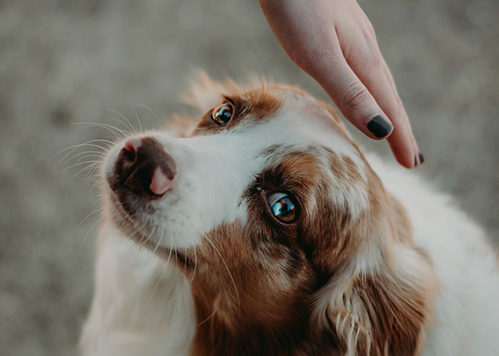 30 Ex-Racists Share What Honestly Changed Their Views