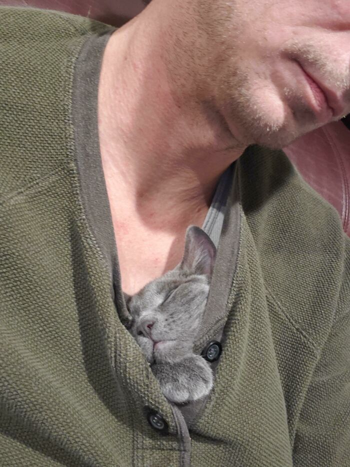 50 Of The Most Wholesome Rescue Pet Photos This December 50 Of The Most Wholesome Rescue Pet Photos This December