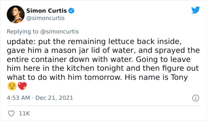Guy Tweets Adorable Story Of How He Ended Up Adopting A Tiny Tree Frog He Discovered In His Lettuce Box Guy Tweets Adorable Story Of How He Ended Up Adopting A Tiny Tree Frog He Discovered In His Lettuce Box