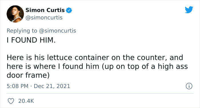 Guy Tweets Adorable Story Of How He Ended Up Adopting A Tiny Tree Frog He Discovered In His Lettuce Box Guy Tweets Adorable Story Of How He Ended Up Adopting A Tiny Tree Frog He Discovered In His Lettuce Box