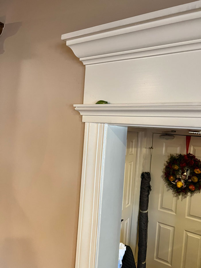 Guy Tweets Adorable Story Of How He Ended Up Adopting A Tiny Tree Frog He Discovered In His Lettuce Box Guy Tweets Adorable Story Of How He Ended Up Adopting A Tiny Tree Frog He Discovered In His Lettuce Box