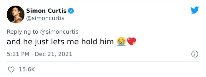 Guy Tweets Adorable Story Of How He Ended Up Adopting A Tiny Tree Frog He Discovered In His Lettuce Box Guy Tweets Adorable Story Of How He Ended Up Adopting A Tiny Tree Frog He Discovered In His Lettuce Box