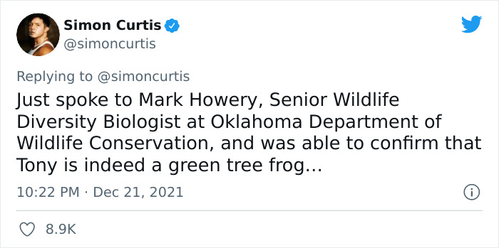Guy Tweets Adorable Story Of How He Ended Up Adopting A Tiny Tree Frog He Discovered In His Lettuce Box Guy Tweets Adorable Story Of How He Ended Up Adopting A Tiny Tree Frog He Discovered In His Lettuce Box