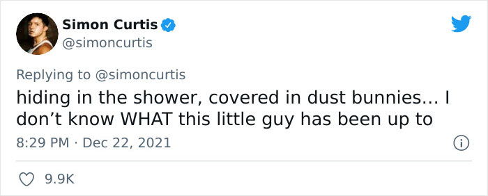 Guy Tweets Adorable Story Of How He Ended Up Adopting A Tiny Tree Frog He Discovered In His Lettuce Box Guy Tweets Adorable Story Of How He Ended Up Adopting A Tiny Tree Frog He Discovered In His Lettuce Box