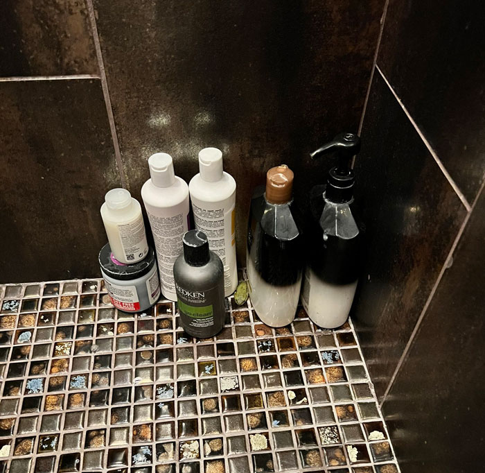 Guy Tweets Adorable Story Of How He Ended Up Adopting A Tiny Tree Frog He Discovered In His Lettuce Box Guy Tweets Adorable Story Of How He Ended Up Adopting A Tiny Tree Frog He Discovered In His Lettuce Box