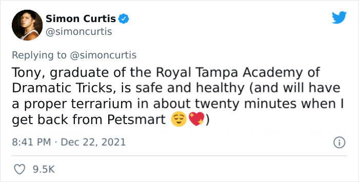 Guy Tweets Adorable Story Of How He Ended Up Adopting A Tiny Tree Frog He Discovered In His Lettuce Box Guy Tweets Adorable Story Of How He Ended Up Adopting A Tiny Tree Frog He Discovered In His Lettuce Box