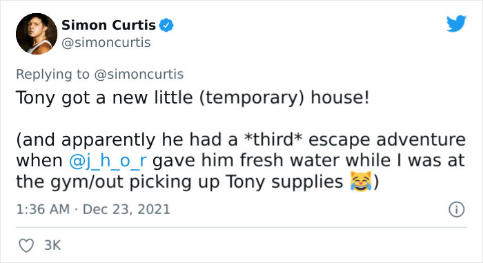 Guy Tweets Adorable Story Of How He Ended Up Adopting A Tiny Tree Frog He Discovered In His Lettuce Box Guy Tweets Adorable Story Of How He Ended Up Adopting A Tiny Tree Frog He Discovered In His Lettuce Box