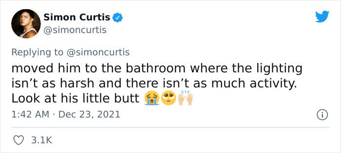 Guy Tweets Adorable Story Of How He Ended Up Adopting A Tiny Tree Frog He Discovered In His Lettuce Box Guy Tweets Adorable Story Of How He Ended Up Adopting A Tiny Tree Frog He Discovered In His Lettuce Box