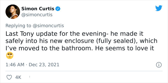 Guy Tweets Adorable Story Of How He Ended Up Adopting A Tiny Tree Frog He Discovered In His Lettuce Box Guy Tweets Adorable Story Of How He Ended Up Adopting A Tiny Tree Frog He Discovered In His Lettuce Box