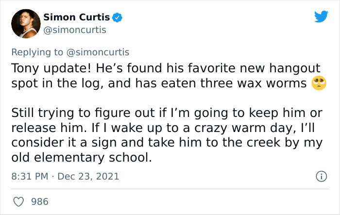 Guy Tweets Adorable Story Of How He Ended Up Adopting A Tiny Tree Frog He Discovered In His Lettuce Box Guy Tweets Adorable Story Of How He Ended Up Adopting A Tiny Tree Frog He Discovered In His Lettuce Box