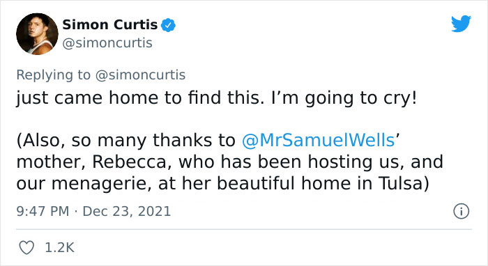 Guy Tweets Adorable Story Of How He Ended Up Adopting A Tiny Tree Frog He Discovered In His Lettuce Box Guy Tweets Adorable Story Of How He Ended Up Adopting A Tiny Tree Frog He Discovered In His Lettuce Box