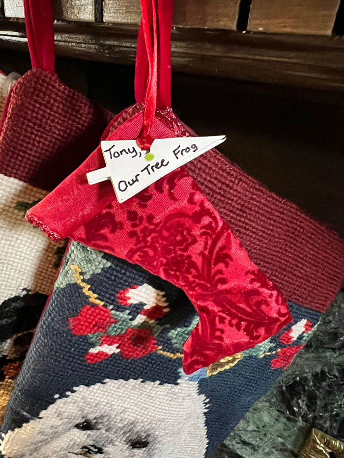 Guy Tweets Adorable Story Of How He Ended Up Adopting A Tiny Tree Frog He Discovered In His Lettuce Box Guy Tweets Adorable Story Of How He Ended Up Adopting A Tiny Tree Frog He Discovered In His Lettuce Box