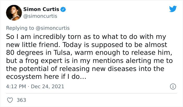 Guy Tweets Adorable Story Of How He Ended Up Adopting A Tiny Tree Frog He Discovered In His Lettuce Box Guy Tweets Adorable Story Of How He Ended Up Adopting A Tiny Tree Frog He Discovered In His Lettuce Box