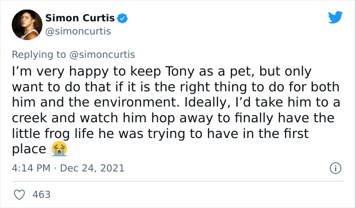 Guy Tweets Adorable Story Of How He Ended Up Adopting A Tiny Tree Frog He Discovered In His Lettuce Box Guy Tweets Adorable Story Of How He Ended Up Adopting A Tiny Tree Frog He Discovered In His Lettuce Box