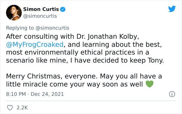 Guy Tweets Adorable Story Of How He Ended Up Adopting A Tiny Tree Frog He Discovered In His Lettuce Box Guy Tweets Adorable Story Of How He Ended Up Adopting A Tiny Tree Frog He Discovered In His Lettuce Box