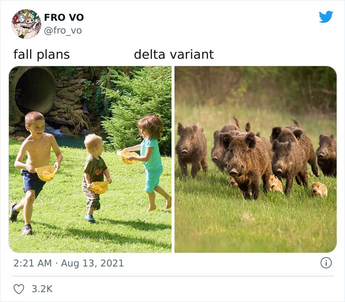 Twitter User Recaps 2021, Reminds Us Just How Crazy This Year Was Twitter User Recaps 2021, Reminds Us Just How Crazy This Year Was