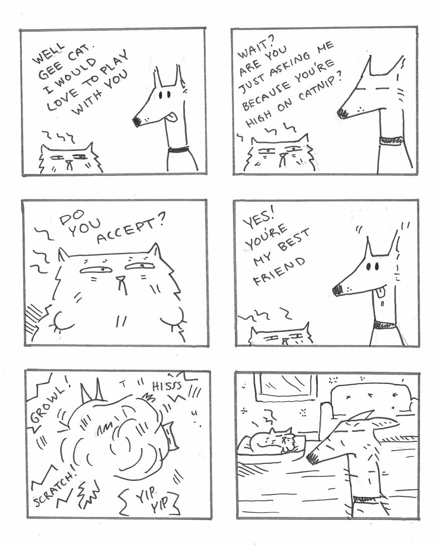 I Created A Festive Holiday Story About A Cat And Dog Trying To Get Along On Christmas I Created A Festive Holiday Story About A Cat And Dog Trying To Get Along On Christmas