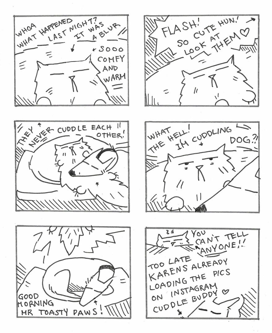 I Created A Festive Holiday Story About A Cat And Dog Trying To Get Along On Christmas I Created A Festive Holiday Story About A Cat And Dog Trying To Get Along On Christmas