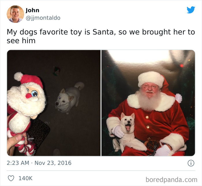 50 Times Pets Made Christmas Better For Everyone (But Sometimes Their Owners Would Disagree) 50 Times Pets Made Christmas Better For Everyone (But Sometimes Their Owners Would Disagree)