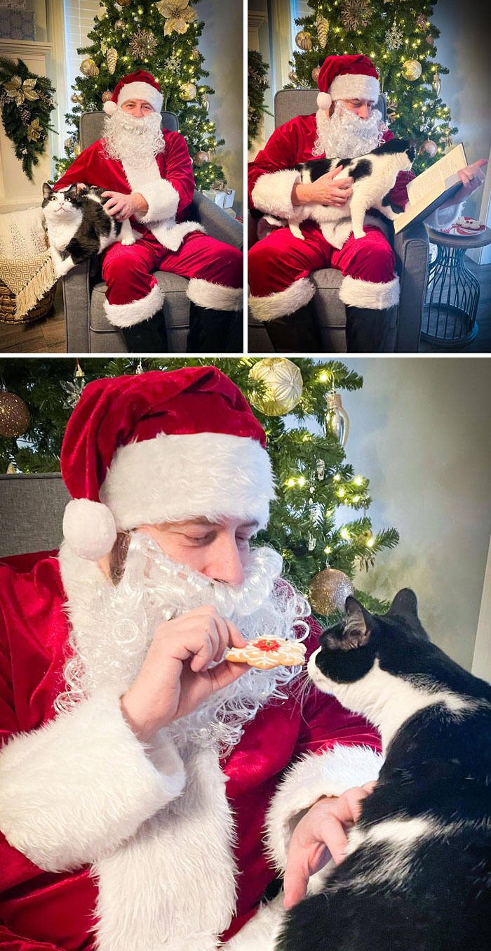 50 Times Pets Made Christmas Better For Everyone (But Sometimes Their Owners Would Disagree) 50 Times Pets Made Christmas Better For Everyone (But Sometimes Their Owners Would Disagree)