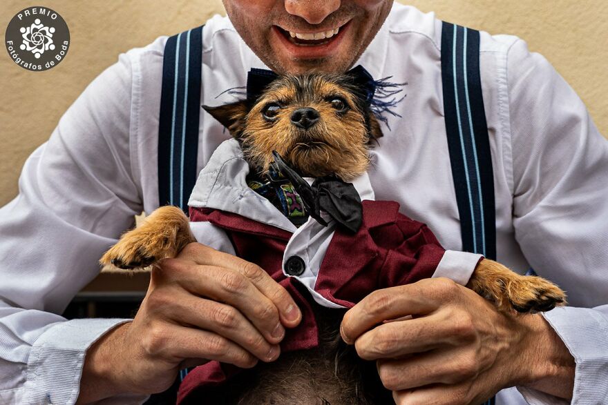 25 Photographers Announced As Winners Of FdB Wedding Photo Awards 25 Photographers Announced As Winners Of FdB Wedding Photo Awards