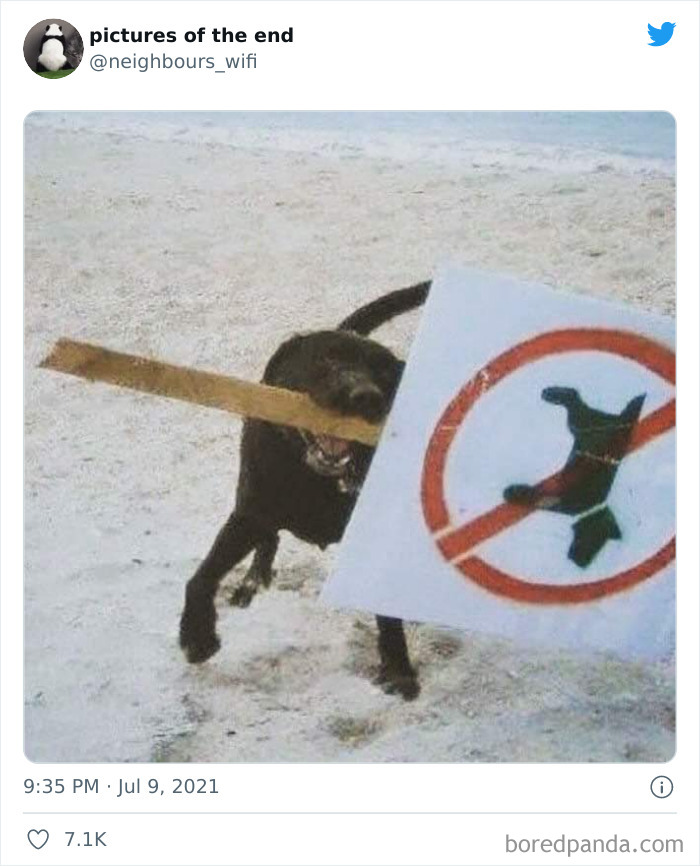 50 “Pictures Of The End” That Raise More Questions Than They Answer 50 “Pictures Of The End” That Raise More Questions Than They Answer