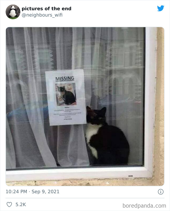 50 “Pictures Of The End” That Raise More Questions Than They Answer 50 “Pictures Of The End” That Raise More Questions Than They Answer