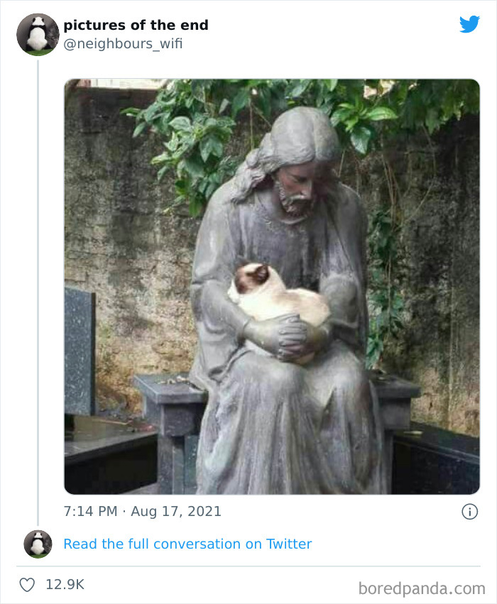 50 “Pictures Of The End” That Raise More Questions Than They Answer 50 “Pictures Of The End” That Raise More Questions Than They Answer