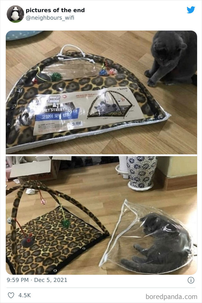 50 “Pictures Of The End” That Raise More Questions Than They Answer 50 “Pictures Of The End” That Raise More Questions Than They Answer