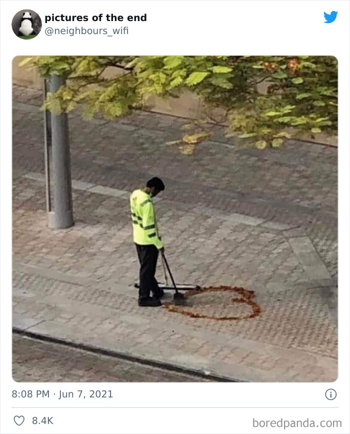 50 “Pictures Of The End” That Raise More Questions Than They Answer 50 “Pictures Of The End” That Raise More Questions Than They Answer