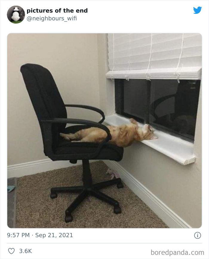 50 “Pictures Of The End” That Raise More Questions Than They Answer 50 “Pictures Of The End” That Raise More Questions Than They Answer