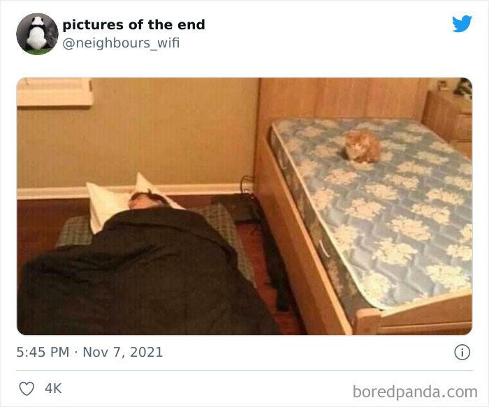 50 “Pictures Of The End” That Raise More Questions Than They Answer 50 “Pictures Of The End” That Raise More Questions Than They Answer