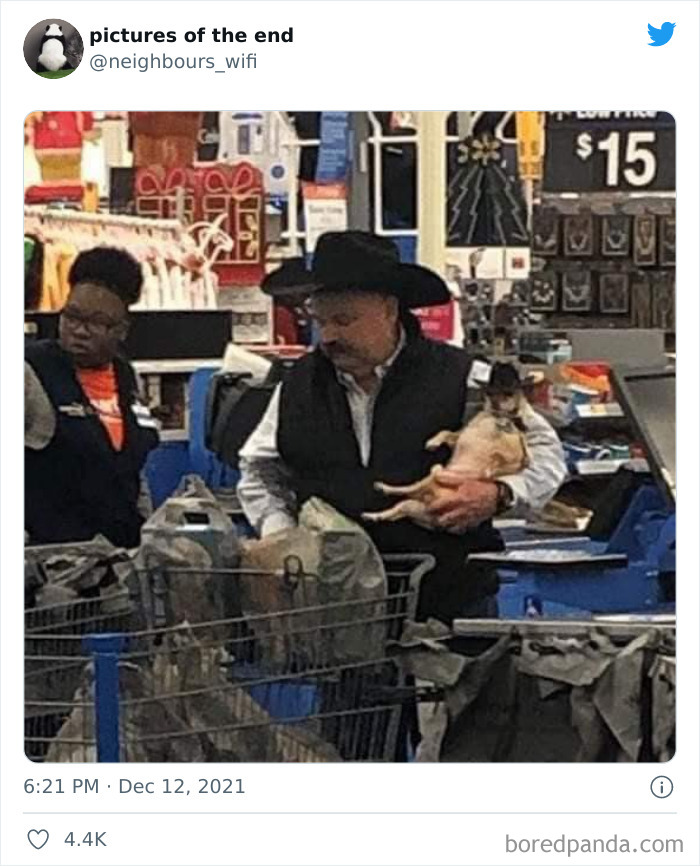 50 “Pictures Of The End” That Raise More Questions Than They Answer 50 “Pictures Of The End” That Raise More Questions Than They Answer