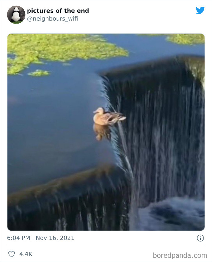 50 “Pictures Of The End” That Raise More Questions Than They Answer 50 “Pictures Of The End” That Raise More Questions Than They Answer