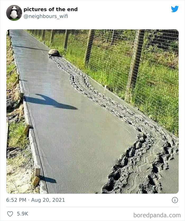 50 “Pictures Of The End” That Raise More Questions Than They Answer 50 “Pictures Of The End” That Raise More Questions Than They Answer