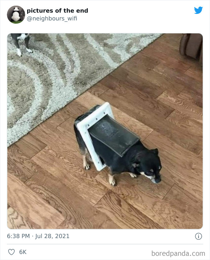 50 “Pictures Of The End” That Raise More Questions Than They Answer 50 “Pictures Of The End” That Raise More Questions Than They Answer