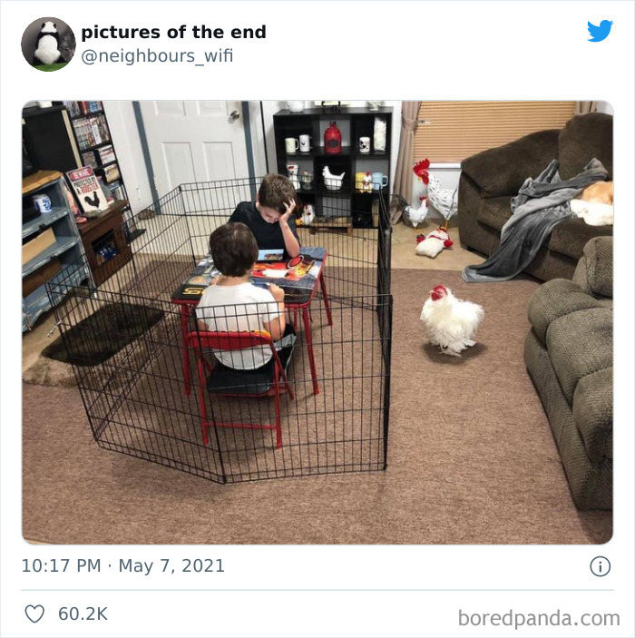 50 “Pictures Of The End” That Raise More Questions Than They Answer 50 “Pictures Of The End” That Raise More Questions Than They Answer