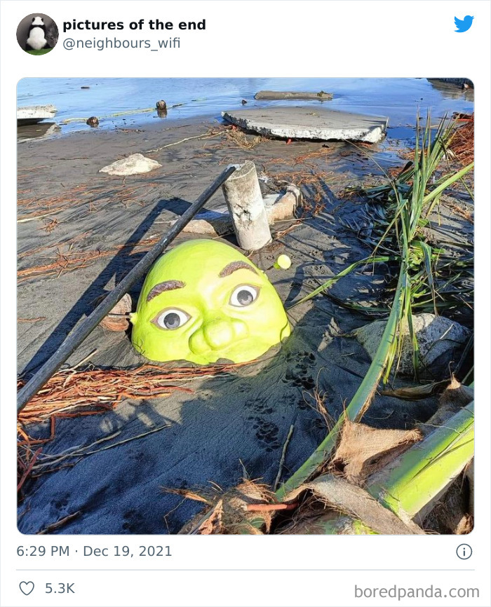 50 “Pictures Of The End” That Raise More Questions Than They Answer 50 “Pictures Of The End” That Raise More Questions Than They Answer