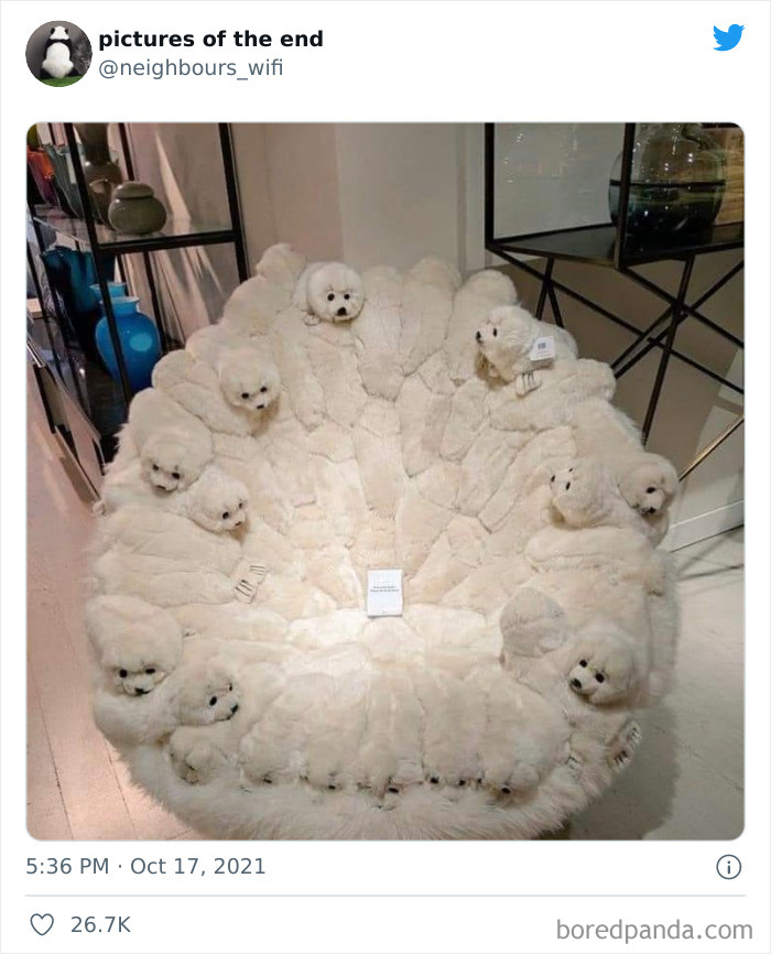 50 “Pictures Of The End” That Raise More Questions Than They Answer 50 “Pictures Of The End” That Raise More Questions Than They Answer