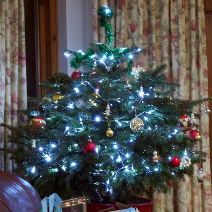 Folks In This Online Group Share 30 Things They Are Repelled By During The Christmas Season Folks In This Online Group Share 30 Things They Are Repelled By During The Christmas Season