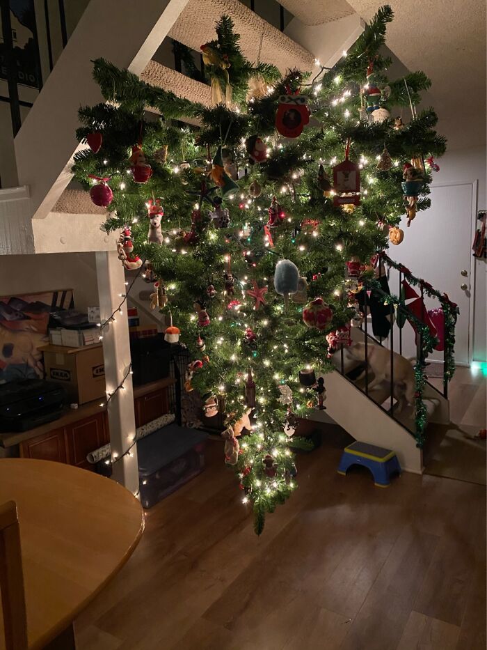 Hey Pandas, Post A Picture Of Your Christmas Tree This Year (Closed) Hey Pandas, Post A Picture Of Your Christmas Tree This Year (Closed)