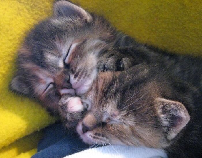 Former Prisoners, Their Friends And Family Share 25 Things Nobody Tells You About Being Incarcerated That They Had To Learn On Their Own Former Prisoners, Their Friends And Family Share 25 Things Nobody Tells You About Being Incarcerated That They Had To Learn On Their Own