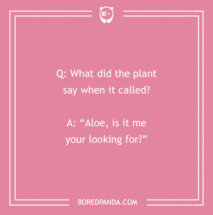 A Collection of 148 Plant Puns That Will Leaf You Chuckling A Collection of 148 Plant Puns That Will Leaf You Chuckling