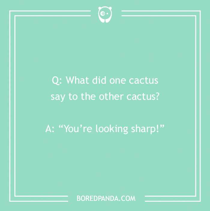 A Collection of 148 Plant Puns That Will Leaf You Chuckling A Collection of 148 Plant Puns That Will Leaf You Chuckling